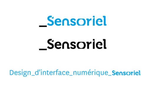 logo pour la licence webdesign sensoriel de limoges